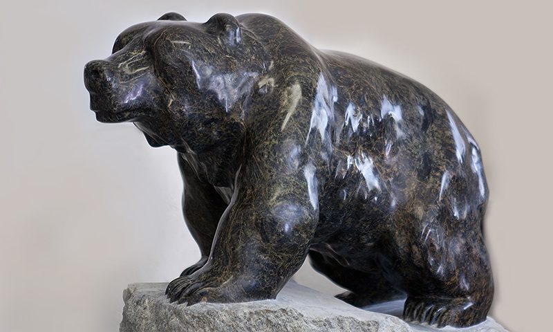 Bear 50