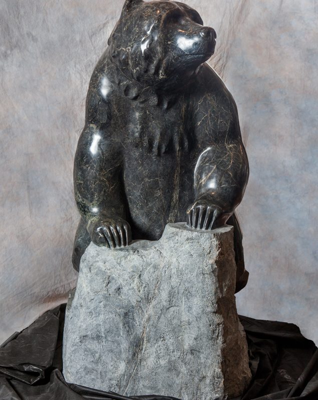 Bear 5753