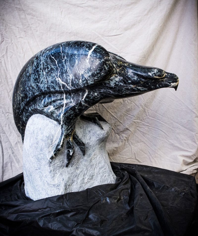Eagle 5753