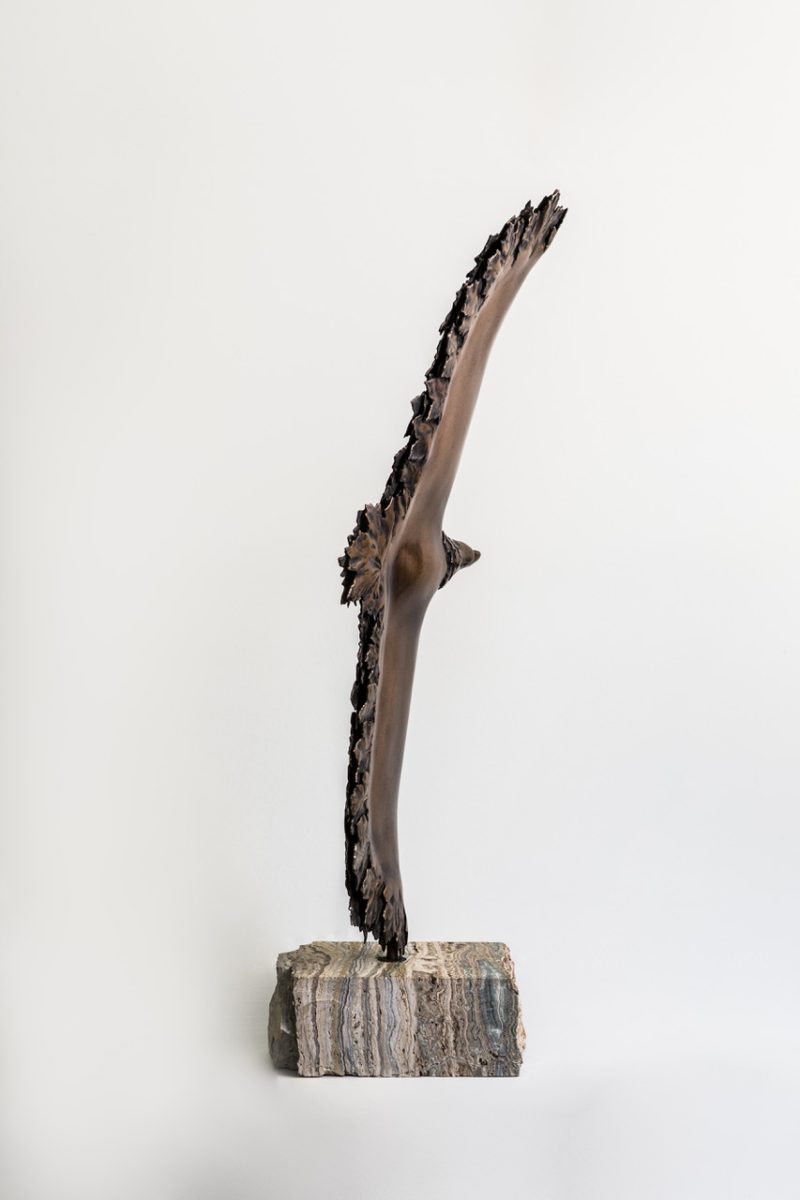 Eagle 031