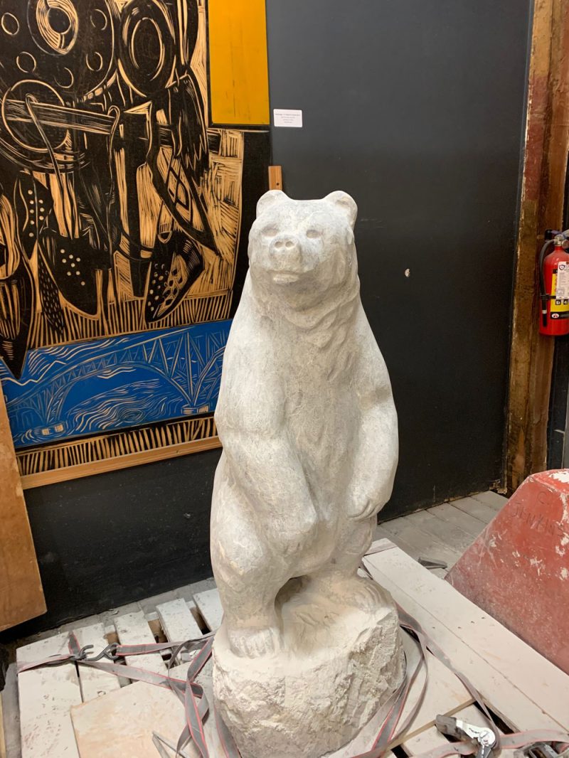 Bear 23
