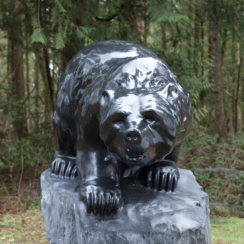 Bear 24