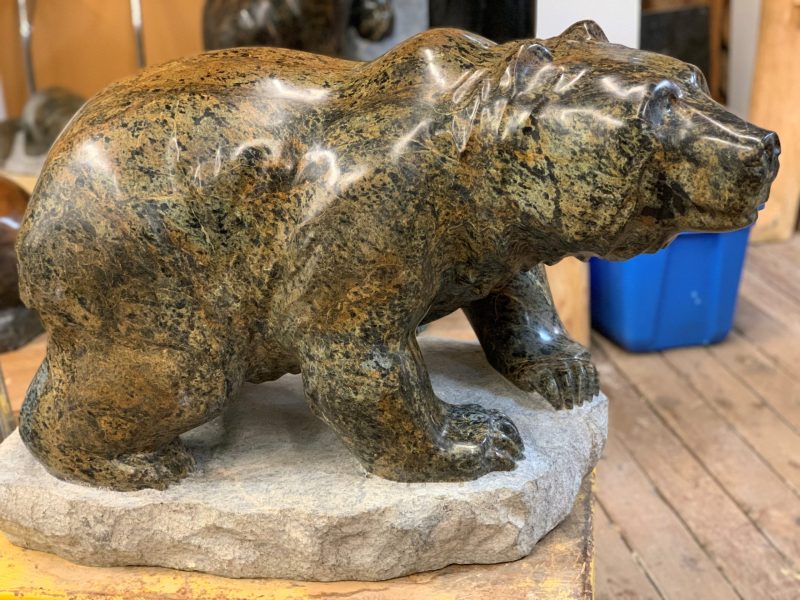 Bear 1