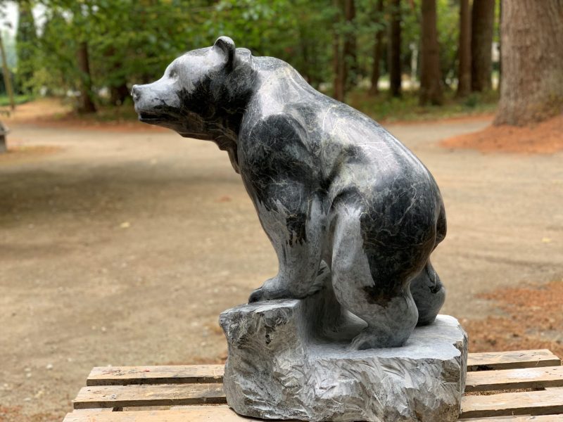 Bear 2