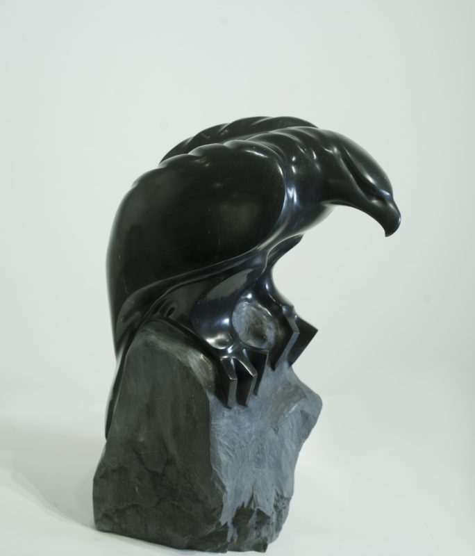 Eagle 1
